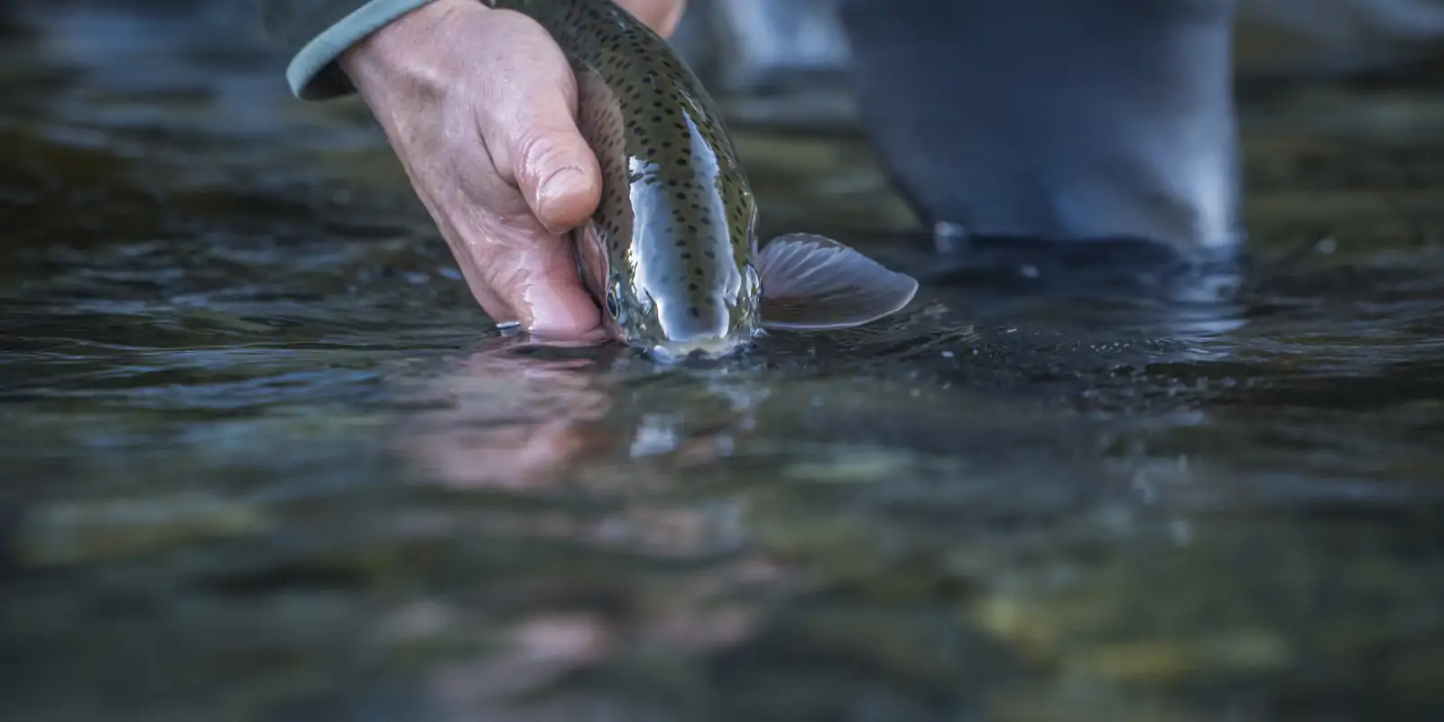 Veterans training at Sweetwater Fly Fishing Guide School