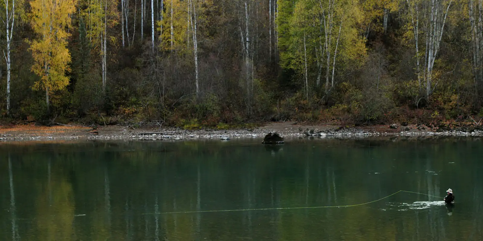 Bulkley River steelhead water near Trout Creek Lodge