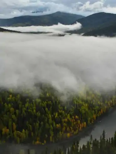 Wild river habitat supported by Sweetwater Travel conservation work