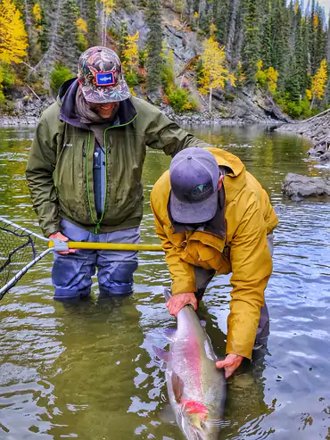 Steelhead Valhalla Lodge image 2
