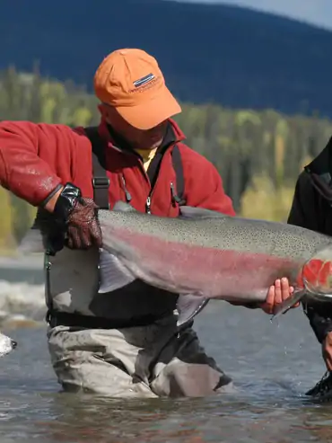 Steelhead Valhalla Lodge image 1