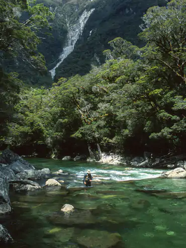 New Zealand trout fishing river