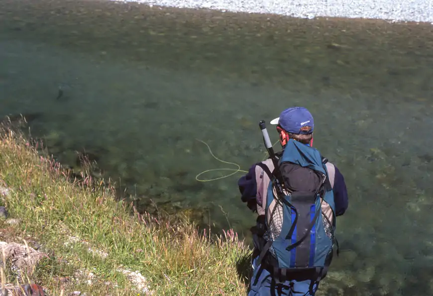 New Zealand sight fishing travel advice
