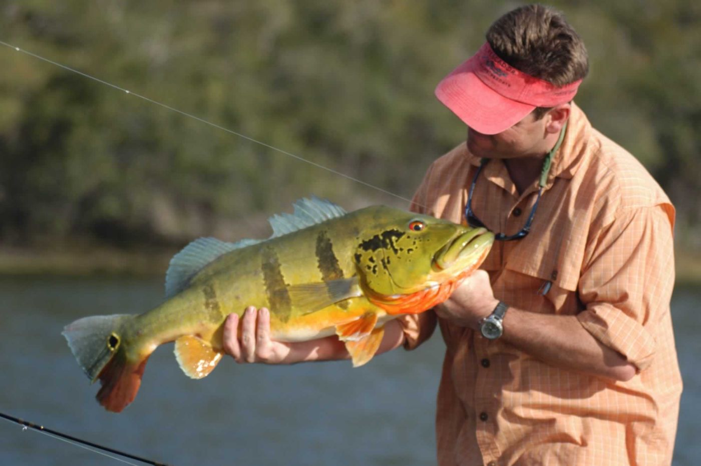 Fly Fishing for Peacock Bass at Agua Boa Lodge